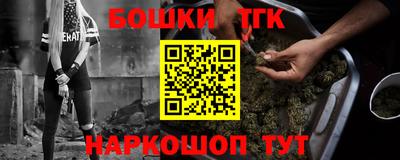 крисы Краснознаменск
