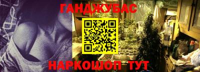 крисы Краснознаменск
