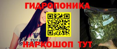 крисы Краснознаменск