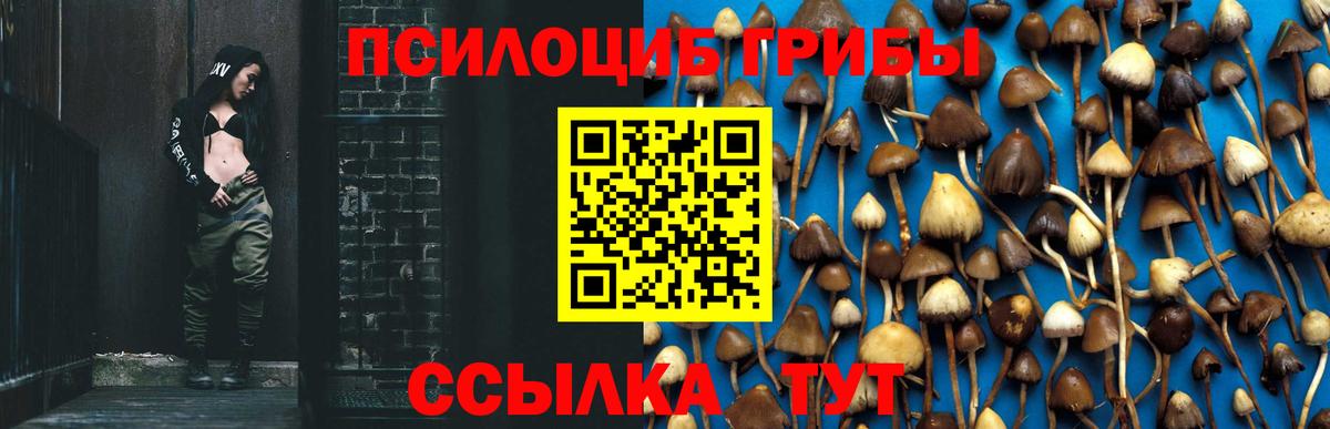 Заводоуковск  наркота  Галлюциногенные грибы мицелий  Вход с VPN  Псилоцибиновые грибы MAGIC MUSHROOMS 