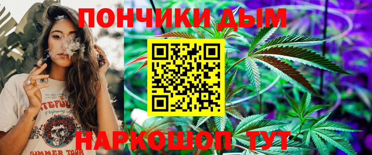 Заводоуковск  Бошки Шишки гибрид  Вход с VPN  Канабис ГИДРОПОН 